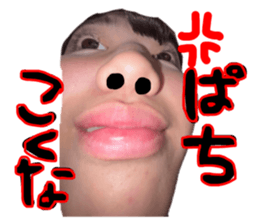 806466398