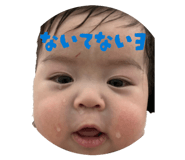 806480431
