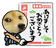 806480745