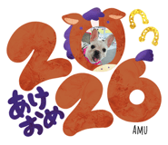 806526559