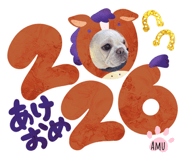 806526560