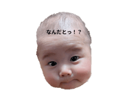 806527497