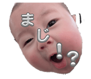 806527501