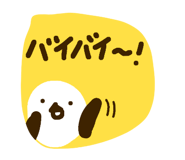 806575024
