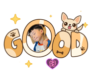 806578164