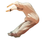 806588995