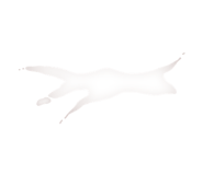 806594092