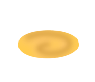 806594095