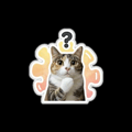 806599721