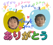 806604060