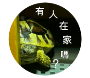806611697