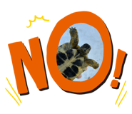 806611698