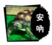806611705