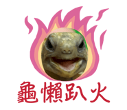 806611707