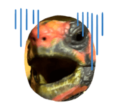 806611712
