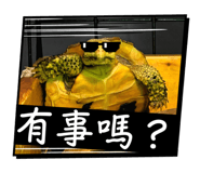 806611713