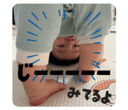 806618654