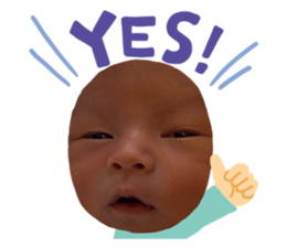 806624718