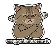 806627681