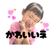 806633641