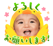 806649684