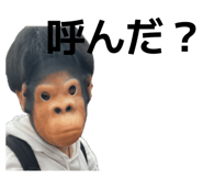 806649975