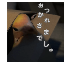 806652350
