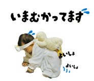 806652739
