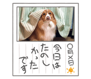 806654227