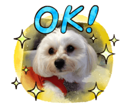 806654652