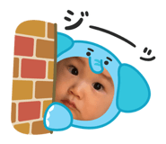 806655042