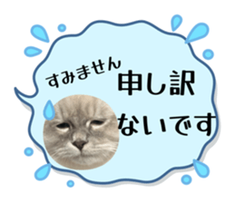 806657554