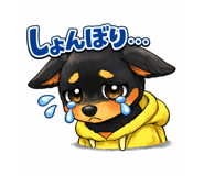 806675060