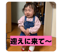 806675354