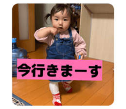 806675355