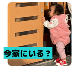 806675377