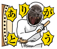 806689550