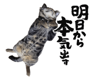 806696212