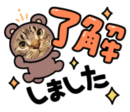 806696237