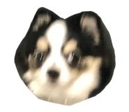 806705690