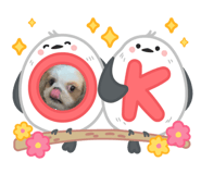 806760821