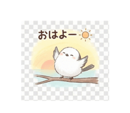 806792505