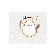 806792507