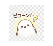 806792515