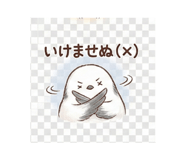 806792516