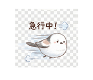 806792525
