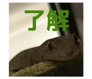 806812978