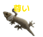 806812981