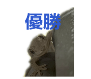 806812982