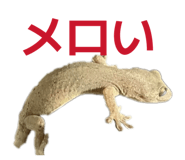 806812983
